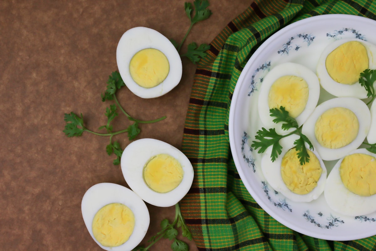Yogurt Yunani Protein Tinggi Probiotik